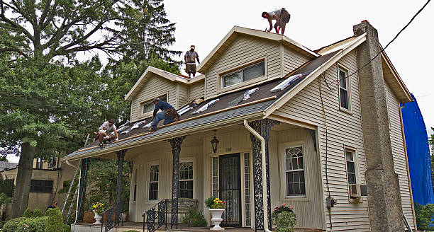 Best Local Roofing Companies  in Nixa, MO